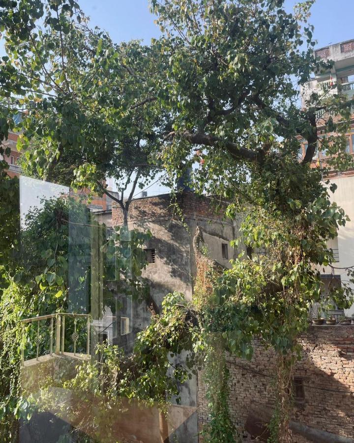 Rooftop Studio And 2Bhk Apartments In Kathmandu'S Most Happening Place Luaran gambar